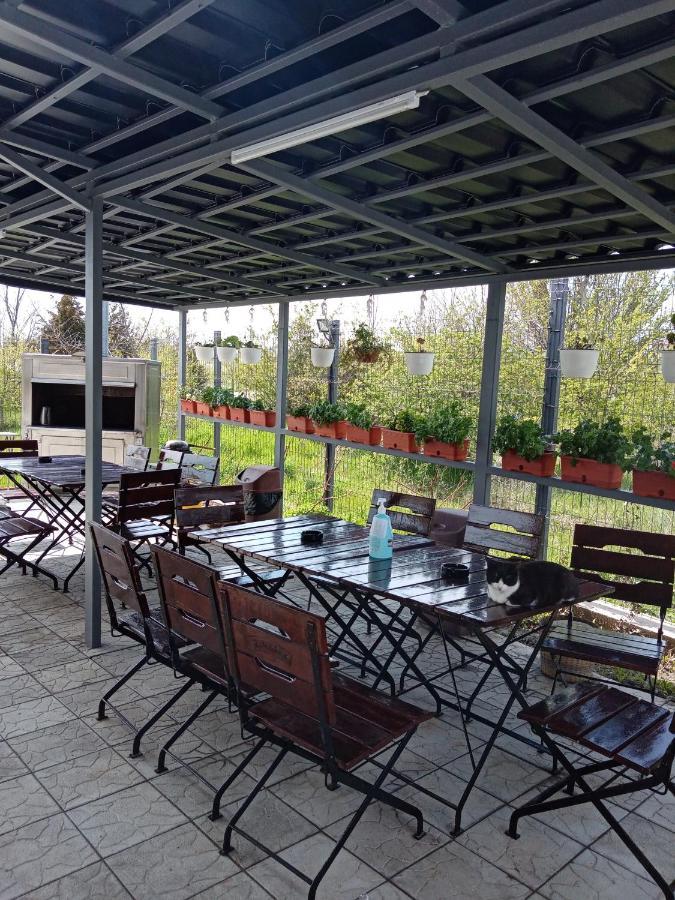 Casa Inna ונוס מראה חיצוני תמונה