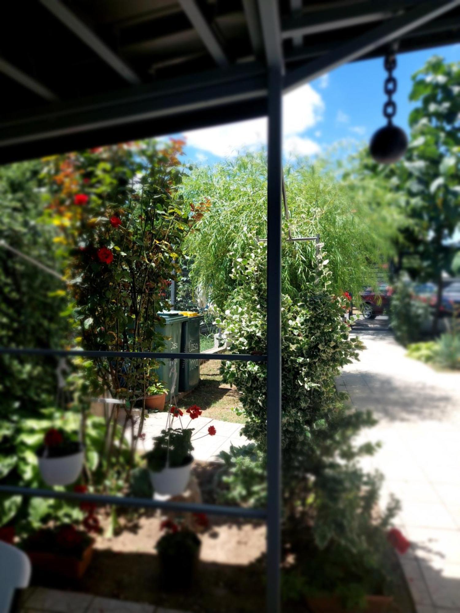 Casa Inna ונוס מראה חיצוני תמונה
